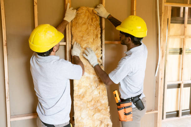 Best Garage Insulation  in Dawson, TX